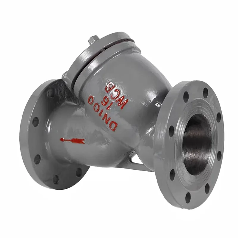 Carbon Steel Flanged Y-type Filter