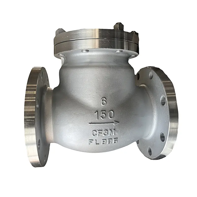 316L Stainless Steel Check Valve