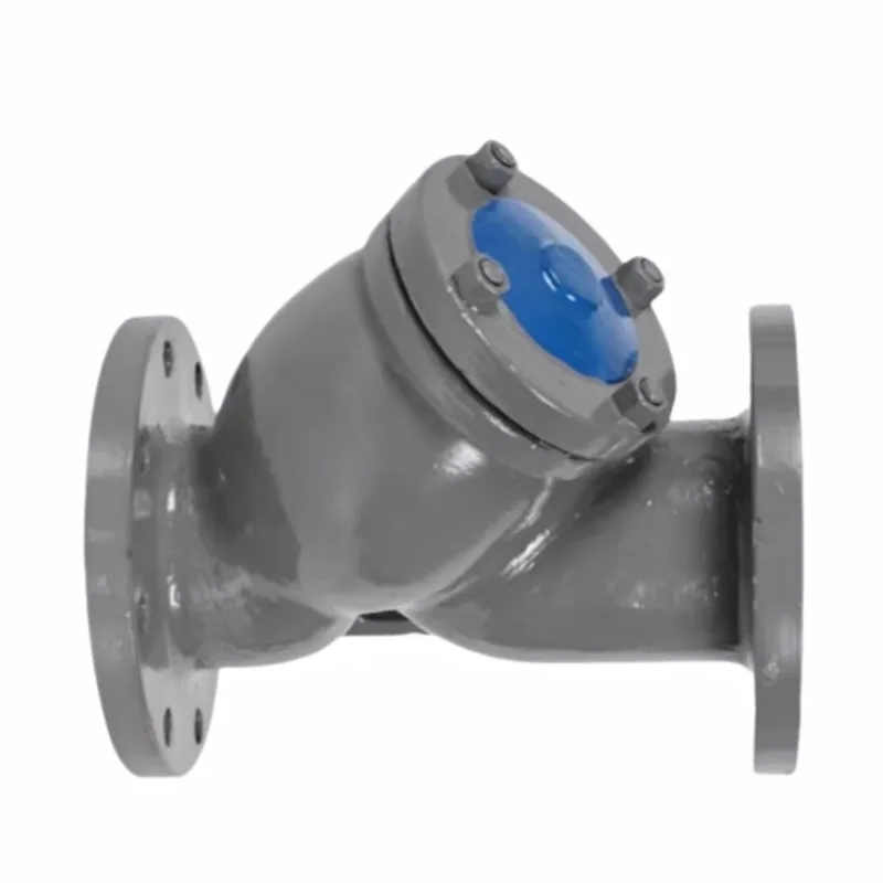 Carbon Steel Flanged Y-type Filter