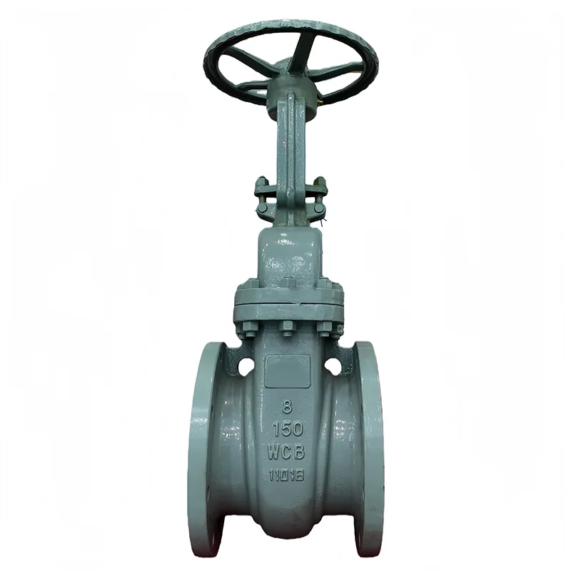 Carbon Steel ANSI Flange Gate Valve