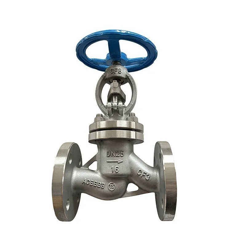 Chemical Industry-Specific Globe Valve