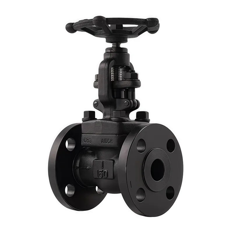 Forged Flanged Globe Valve