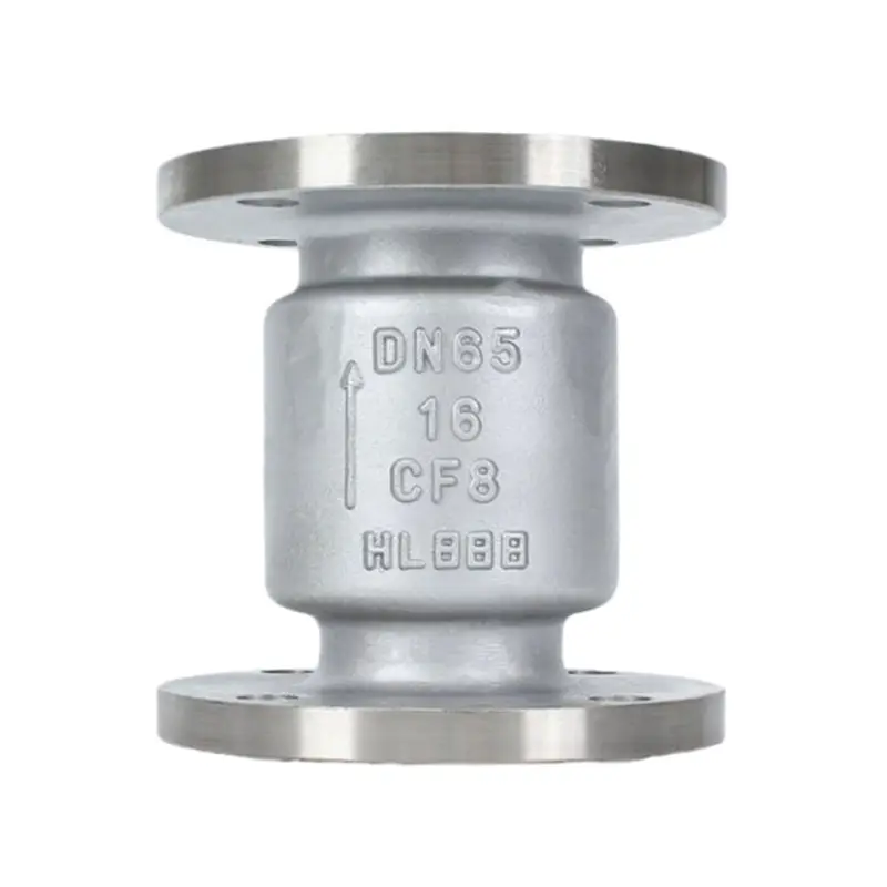 Stainless Steel 316 Vertical Check Valves