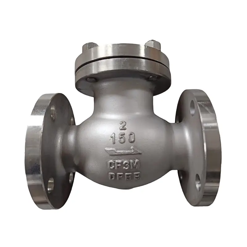 316L Stainless Steel Check Valve