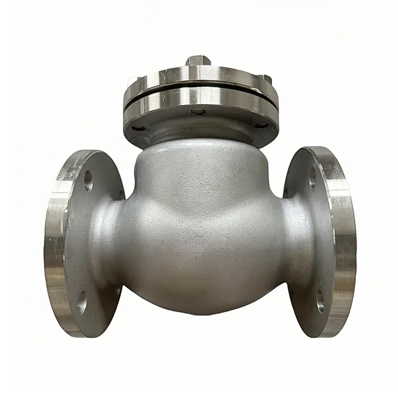 Stainless Steel Check Valve
