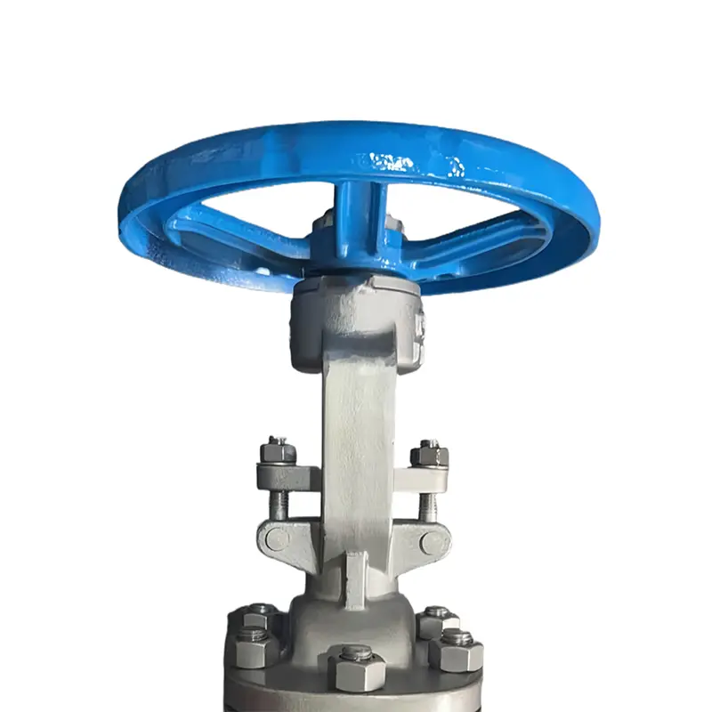 Stainless Steel Flange Gate Valve