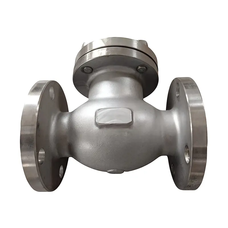 316L Stainless Steel Check Valve