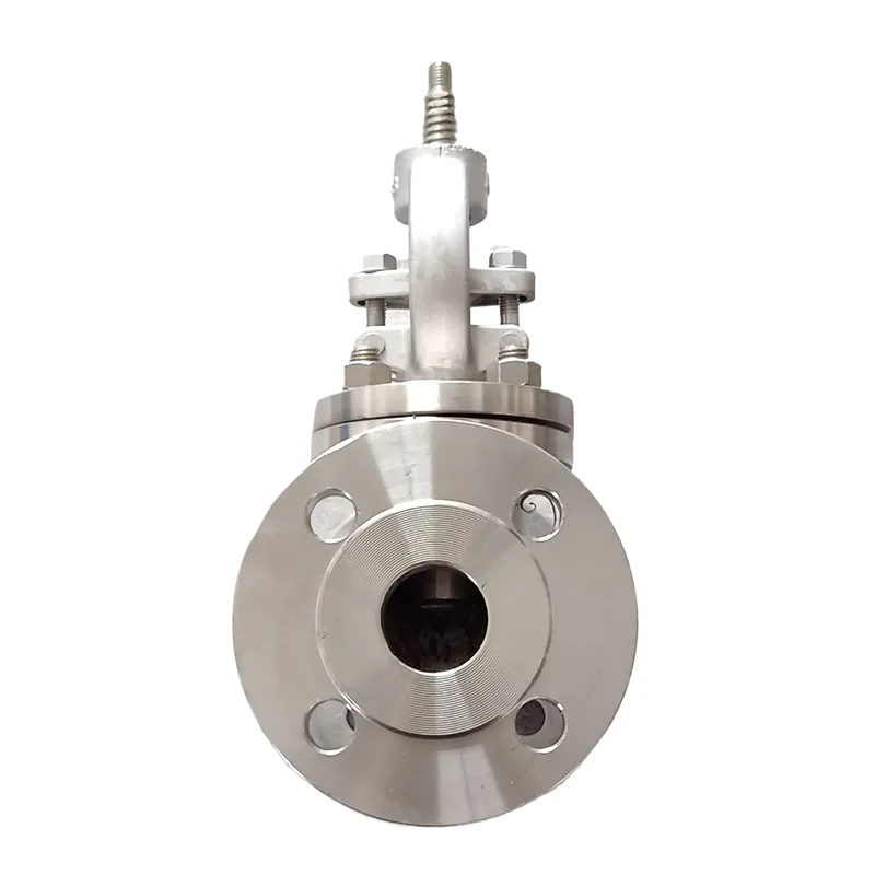 Stainless Steel 304 Flanged Globe Valve