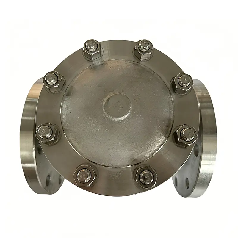 Stainless Steel Check Valve