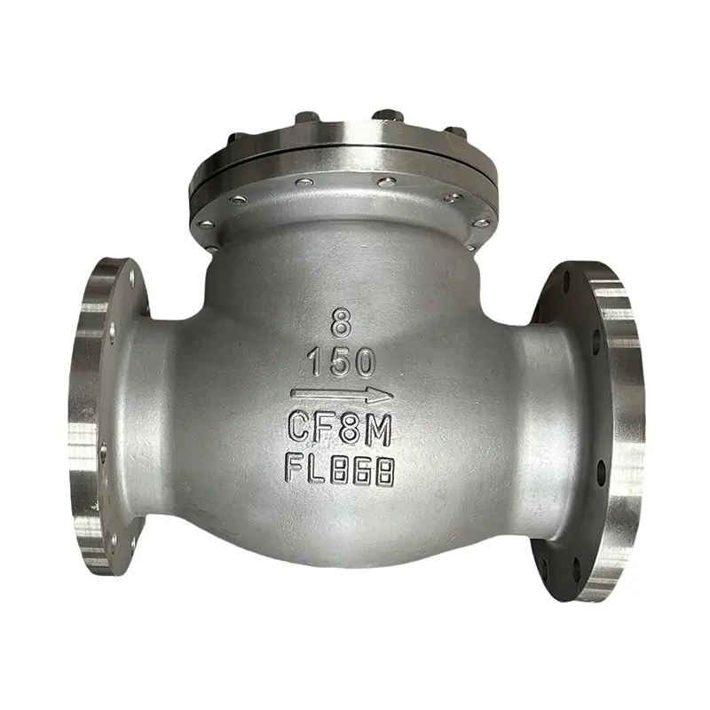 316L Stainless Steel Check Valve