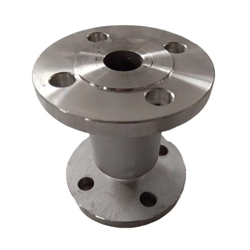 Stainless Steel 316 Vertical Check Valves