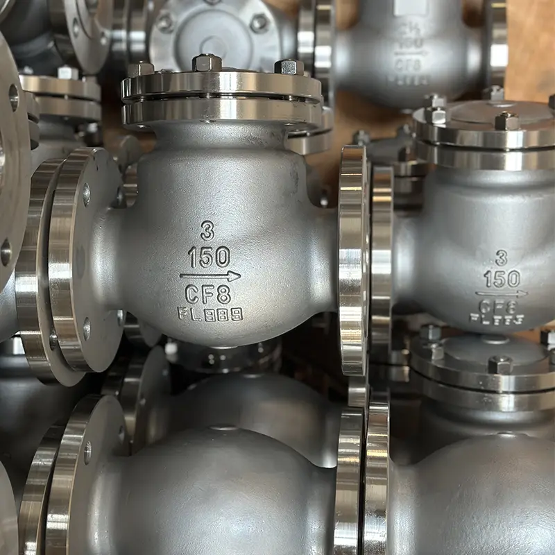 Stainless Steel Check Valve