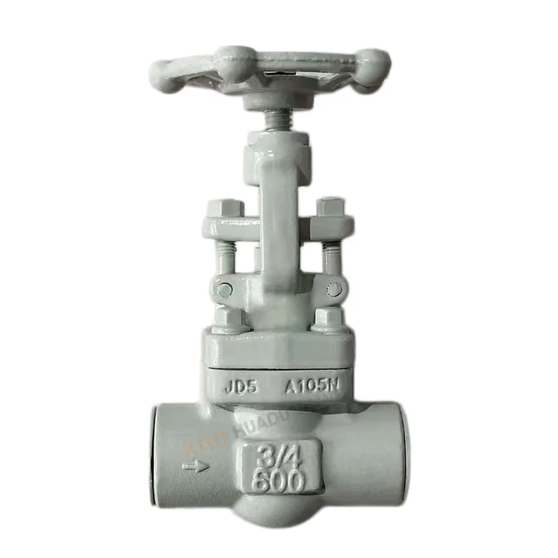 Socket-welded Forged Gate Valve