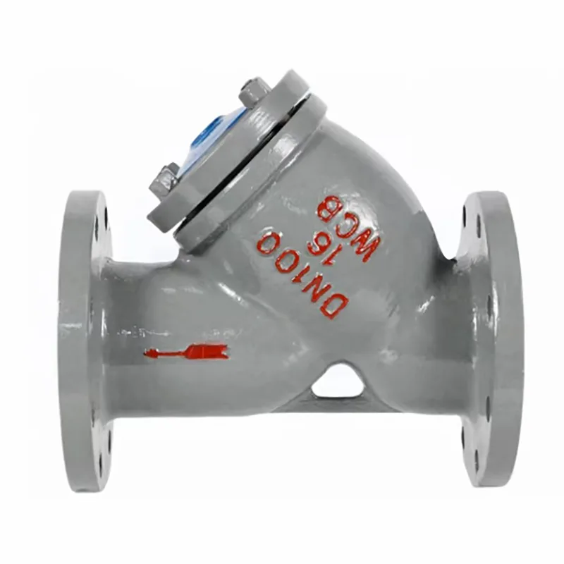 Carbon Steel Flanged Y-type Filter