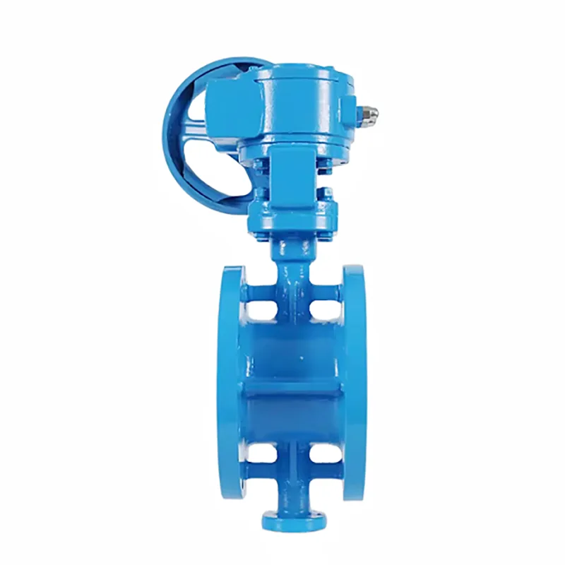 Turbo Flanged Butterfly Valve