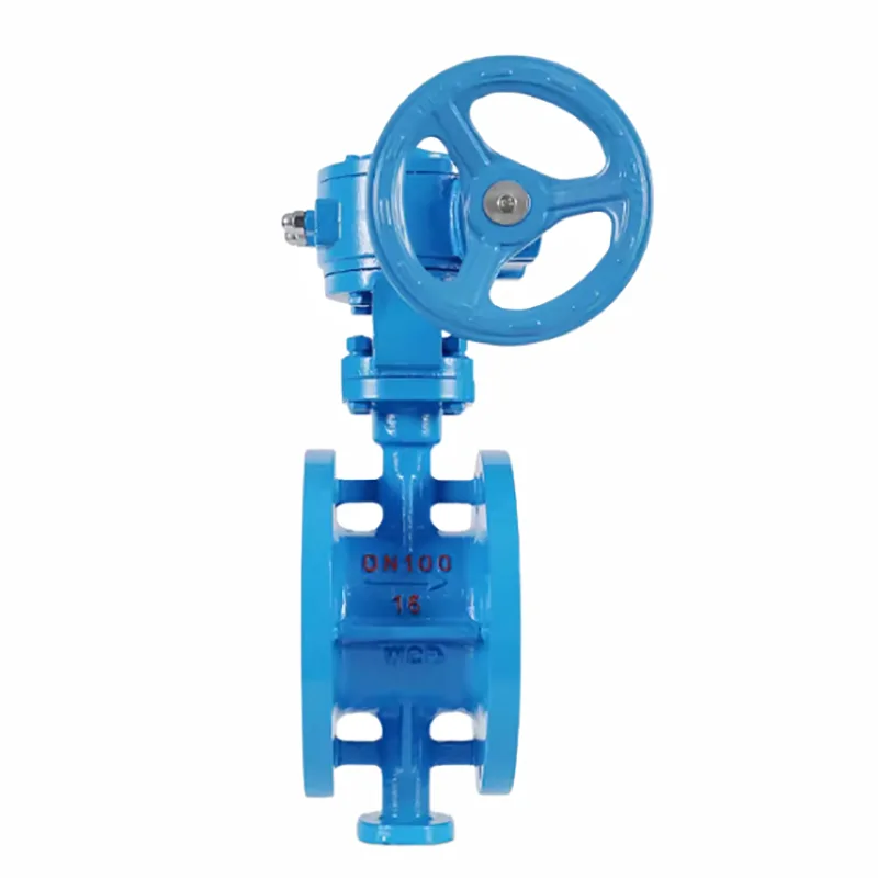 Turbo Flanged Butterfly Valve