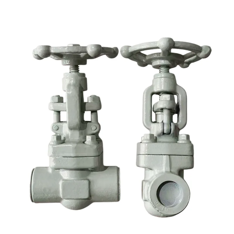 Socket-welded Forged Gate Valve