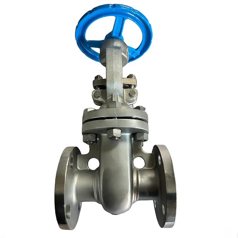 Stainless Steel API Flanged Gate Valve
