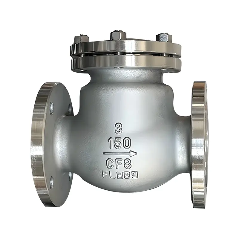 Stainless Steel Check Valve