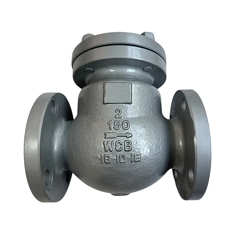 WCB American Standard Check Valve